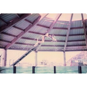 Vintage 1970s Sea Life Park Hawaii Dolphin Seal Show Lot of 6 Photos 3.5x5 image 1