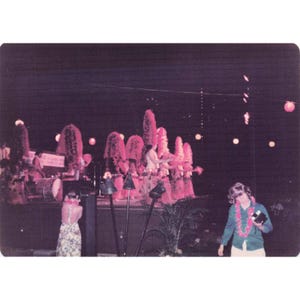 Vintage 1970s Hawaii Pacific USAF Luau Dinner Show Night Photos Lot of 31 image 13