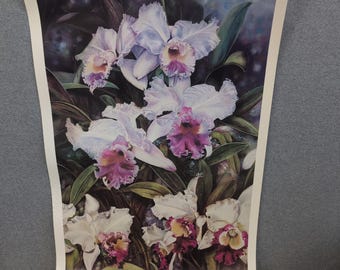 Sonia Torres Schmetterling weiße Orchideen Dendrobium Künstlerdruck signiert Limitierter Ed