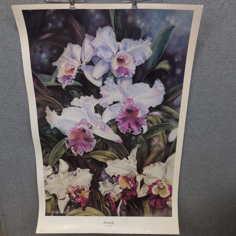 Sonia Torres Butterfly White Orchids Dendrobium Artist Print Signed Limited Ed image 1