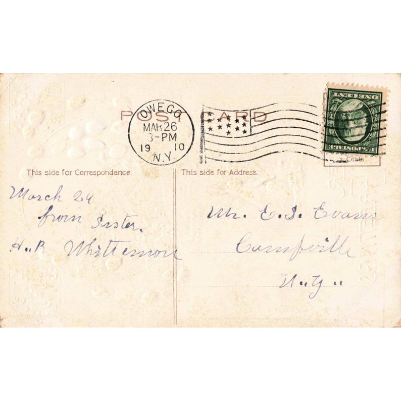Vintage 1910 Easter Greetings Postcard Embossed Rabbit Pussy Willow Owego NY 386 image 2