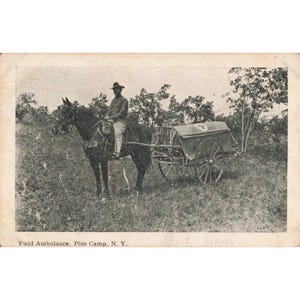 Vintage 1911 Pine Camp NY Field Ambulance Horse Drawn Postcard RPPC Fort Drum image 1