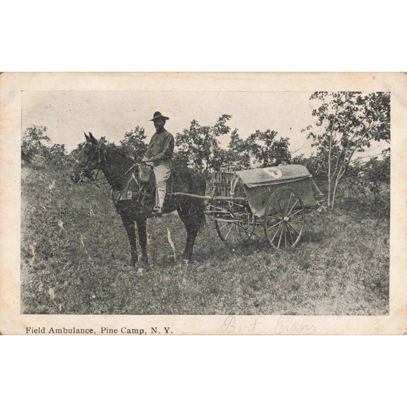 Vintage 1911 Pine Camp NY Field Ambulance Horse Drawn Postcard RPPC Fort Drum image 1