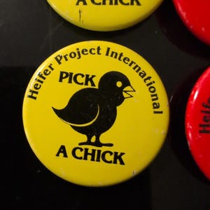 Vintage Heifer Project International Ansteckbutton-Set mit Bauernhoftieren, 16-teilig, sehr guter Zustand Bild 3