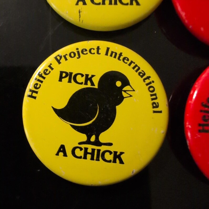 Vintage Heifer Project International Ansteckbutton-Set mit Bauernhoftieren, 16-teilig, sehr guter Zustand Bild 3