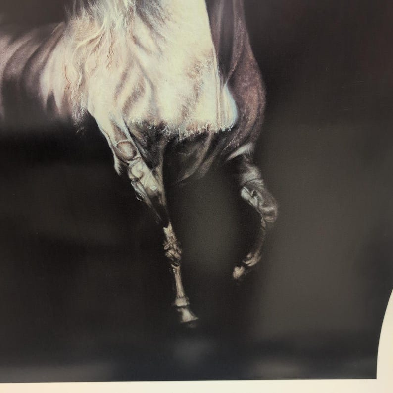Sonia Torres Limited Edition, Numbered, Signed Arabian Left Horse Artist's Print image 4
