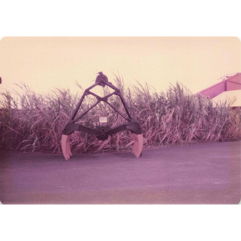 Foto antigua de la década de 1970 de un cargador de caña de azúcar en una plantación de Hawái. imagen 1