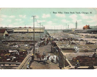 Carte postale ancienne de 1915 représentant l'allée animée des abattoirs de Chicago (Illinois), McClurg, très bon état.