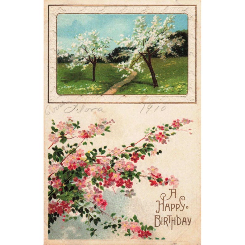 Vintage 1910 A Happy Birthday Postcard Embossed Floral Cherry Blossom Landscape image 1