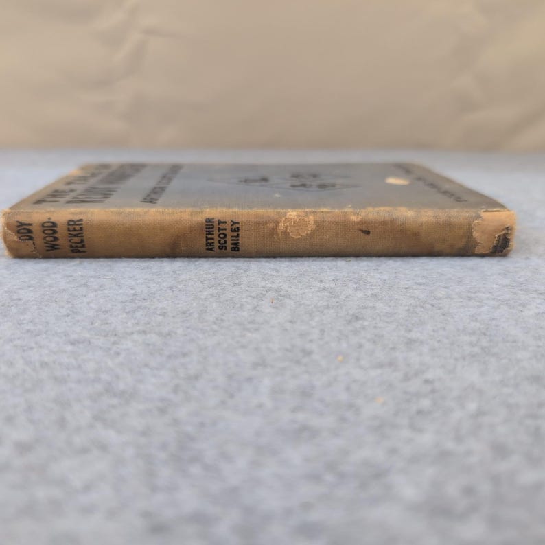 The Tale of Reddy Woodpecker Tuck Me In Tales Arthur Scott Bailey 1922 HC Book image 2