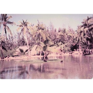 Vintage 1970s Polynesian Cultural Center Hawaii Canoe Pageant Photo Lot of 16 image 16