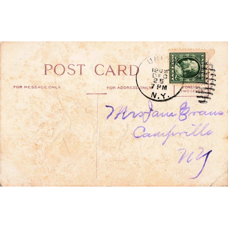 Antique Birthday Greetings Postcard Birds Nest 1905 Union NY Postmark Embossed image 2
