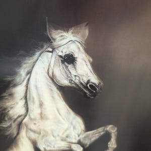 Sonia Torres Limited Edition Numbered, Signed Arabian Front Horse Artist's Print image 2