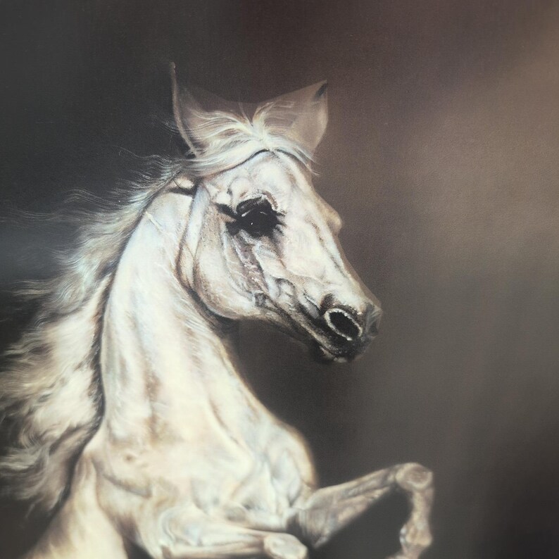Sonia Torres Limited Edition Numbered, Signed Arabian Front Horse Artist's Print image 2