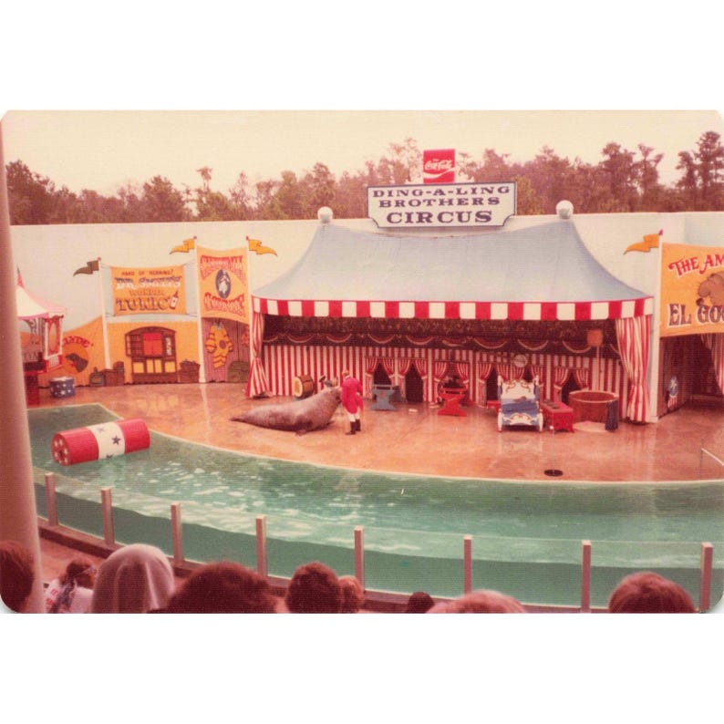 Lote de 4 fotos vintage de los años 70 del circo Ding-A-Ling Brothers, espectáculo secundario, acto de focas imagen 2