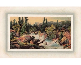 Vintage Art Gravure Series 1005 Vattenfall Skogslandskap Vykort Opublicerat