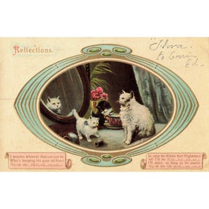 Antique Embossed Postcard Reflections Kittens Mirror Made in Saxony Serie 4300 image 1