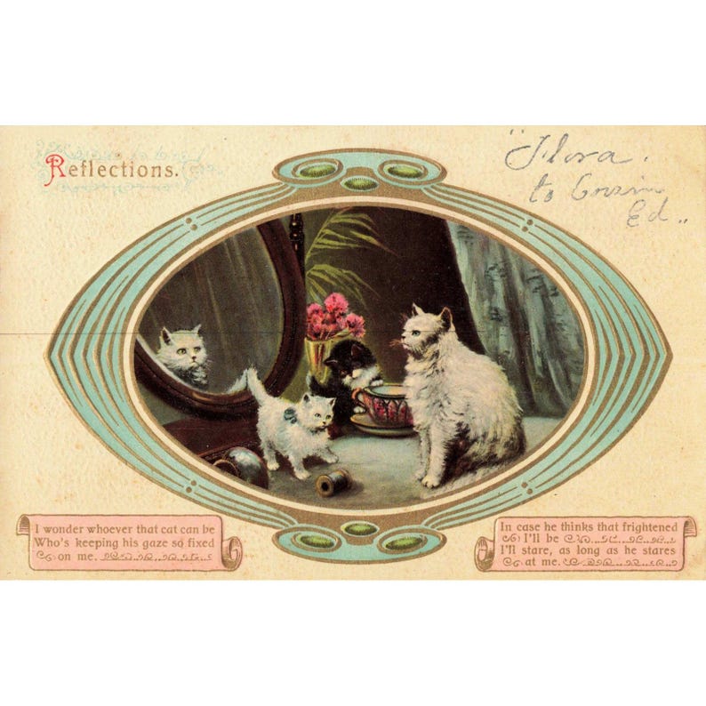 Antique Embossed Postcard Reflections Kittens Mirror Made in Saxony Serie 4300 image 1