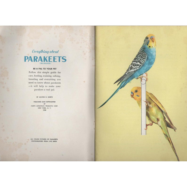 Everything about Parakeets Budgies 1953 Hartz Mountain Milton R North Manual image 3