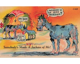 Vintage Curt Teich Linen Postcard Humorous Horse Donkey Rural Comics C-628 VG+