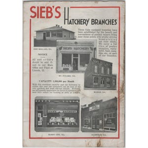 Vintage Sieb's Hatchery Lincoln Illinois Poultry Foundation Chicks Catalog Bild 2