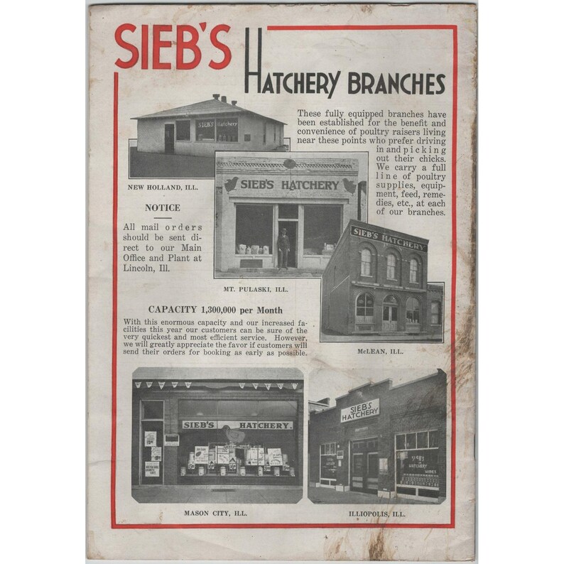 Vintage Sieb's Hatchery Lincoln Illinois Poultry Foundation Chicks Catalog Bild 2