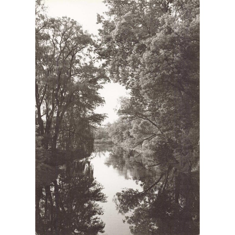 William H Tague, juego de 15 postales, Berkshires, Tanglewood, Leonard Bernstein, Naturaleza imagen 1