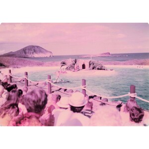 Vintage 1970s Sea Life Park Hawaii Dolphin Show Tall Ship Photo Lot of 17 image 16