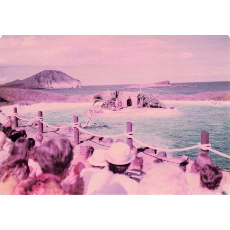 Vintage 1970s Sea Life Park Hawaii Dolphin Show Tall Ship Photo Lot of 17 image 16