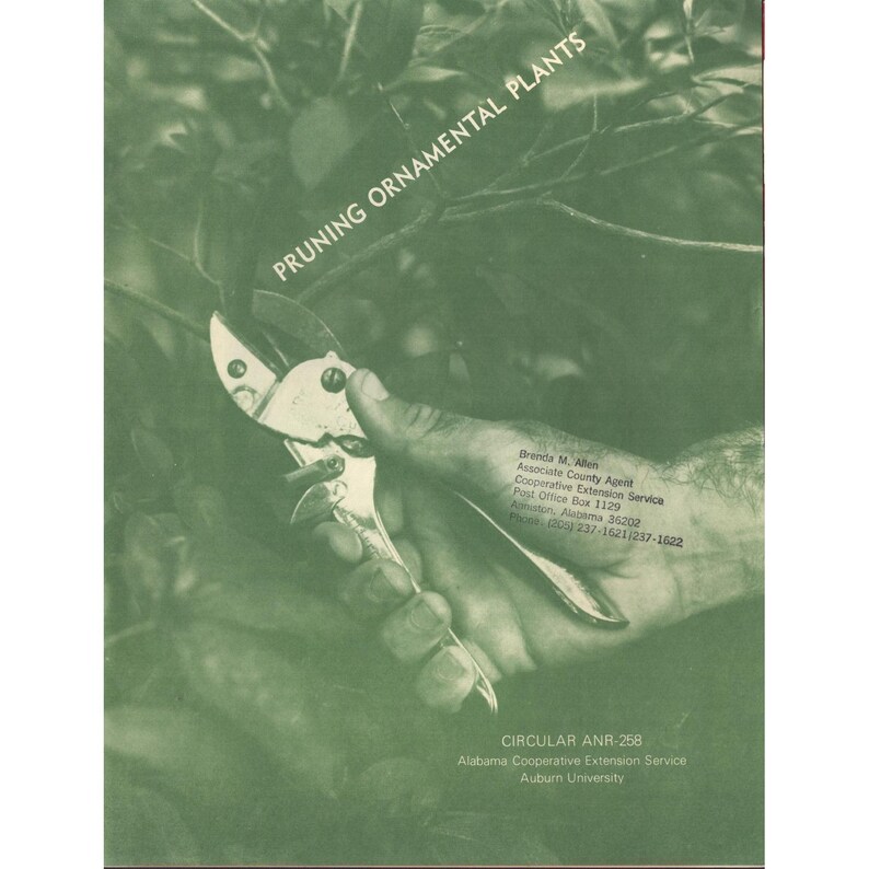 Pruning Ornamental Plants Alabama Cooperative Extension Circular ANR-258 Auburn image 1