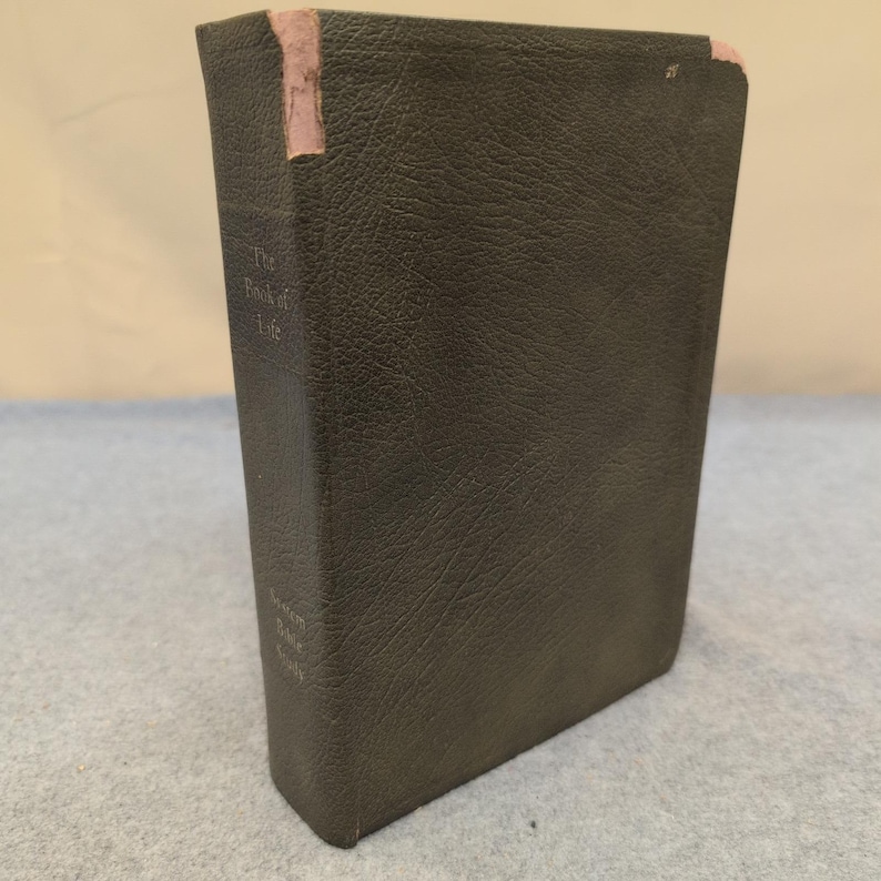 Estudio bíblico del Sistema: El Libro de la Vida, edición ampliada de Zondervan, año 1977. imagen 1