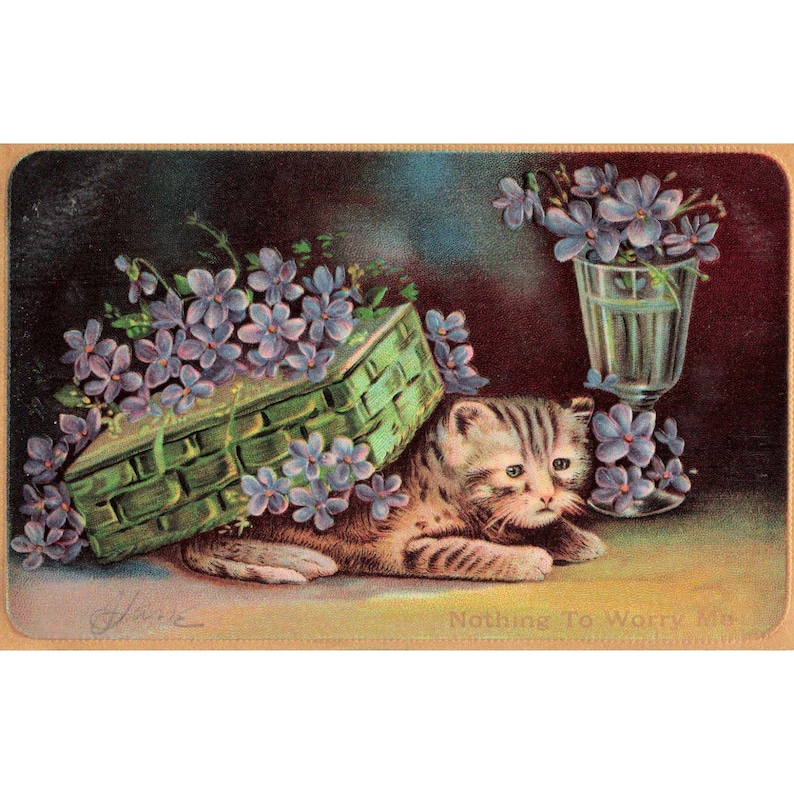 Vintage ansichtkaart: Gestreept katje onder een bloemenmandje, niets om je zorgen over te maken 663 VG afbeelding 1