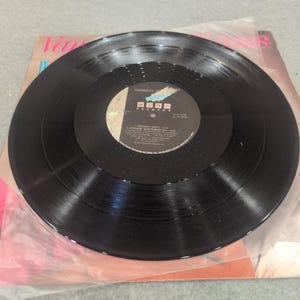 Vanessa Williams Dreamin 12 Single Vinyl 1988 Wing Padon Promo 422-871079-1 Bild 5