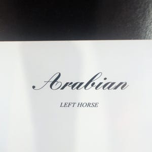 Sonia Torres Limited Edition, Numbered, Signed Arabian Left Horse Artist's Print image 5