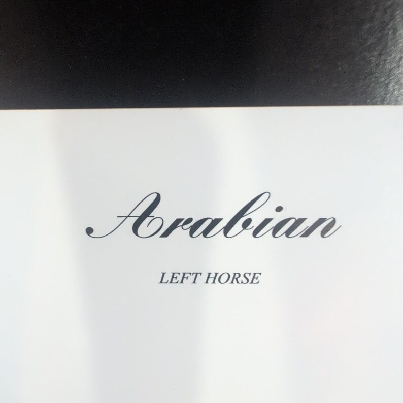Sonia Torres Limited Edition, Numbered, Signed Arabian Left Horse Artist's Print image 5