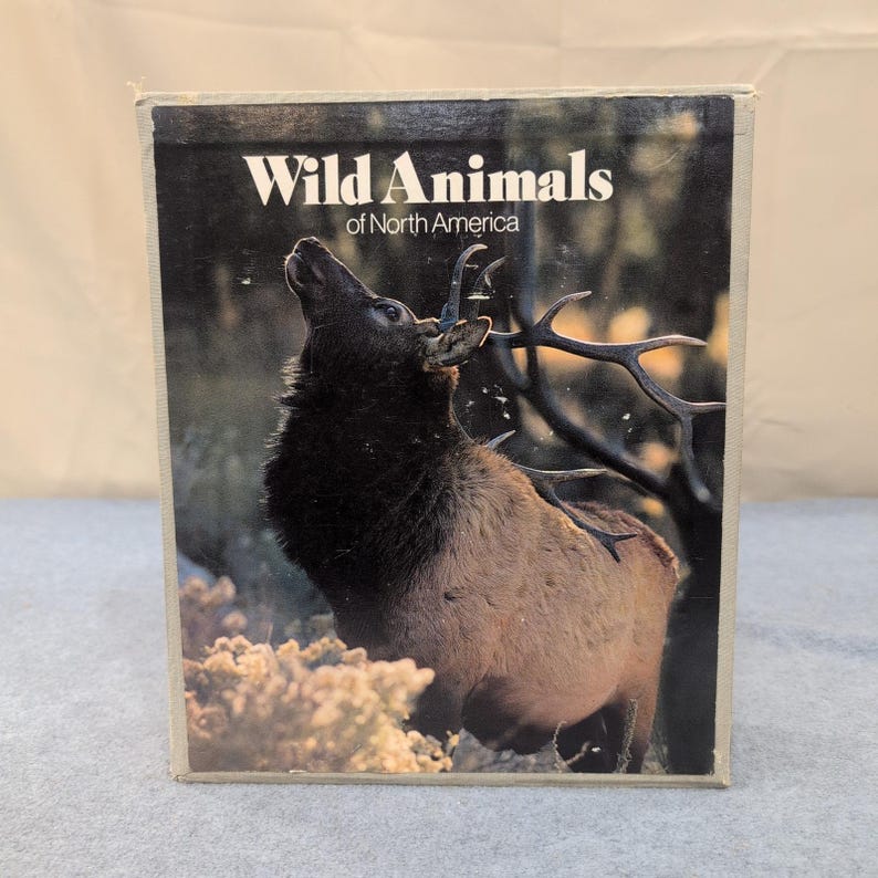 National Geographic Books Our Continent Wild Animals of North America Set image 3