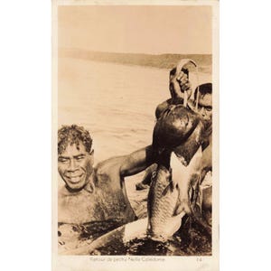 ニューカレドニア産1940年代ヴィンテージRPPCポストカード20枚セット - 写真をご覧ください！ 画像 20