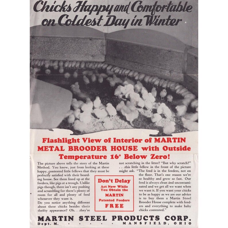 Anuncio impreso antiguo de la incubadora metálica Martin Steel Products Corp., Ohio imagen 1