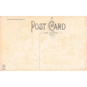 Carte postale ancienne, chaton tigré, roses, lithographie « Je ne peux pas m'oublier », non oblitérée, A 663 image 2
