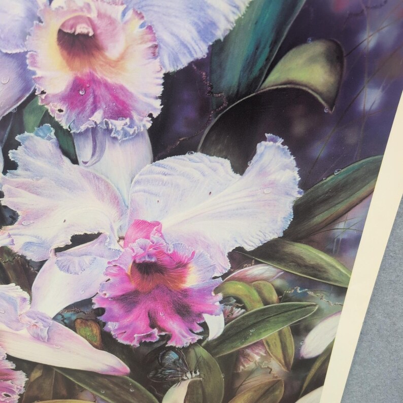 Sonia Torres Butterfly White Orchids Dendrobium Artist Print Signed Limited Ed image 3