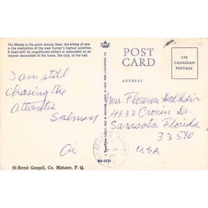Carte postale ancienne représentant un orignal, Saint-René Goupil, Québec, Canada, SS-1271, cachet postal de 1970 image 2