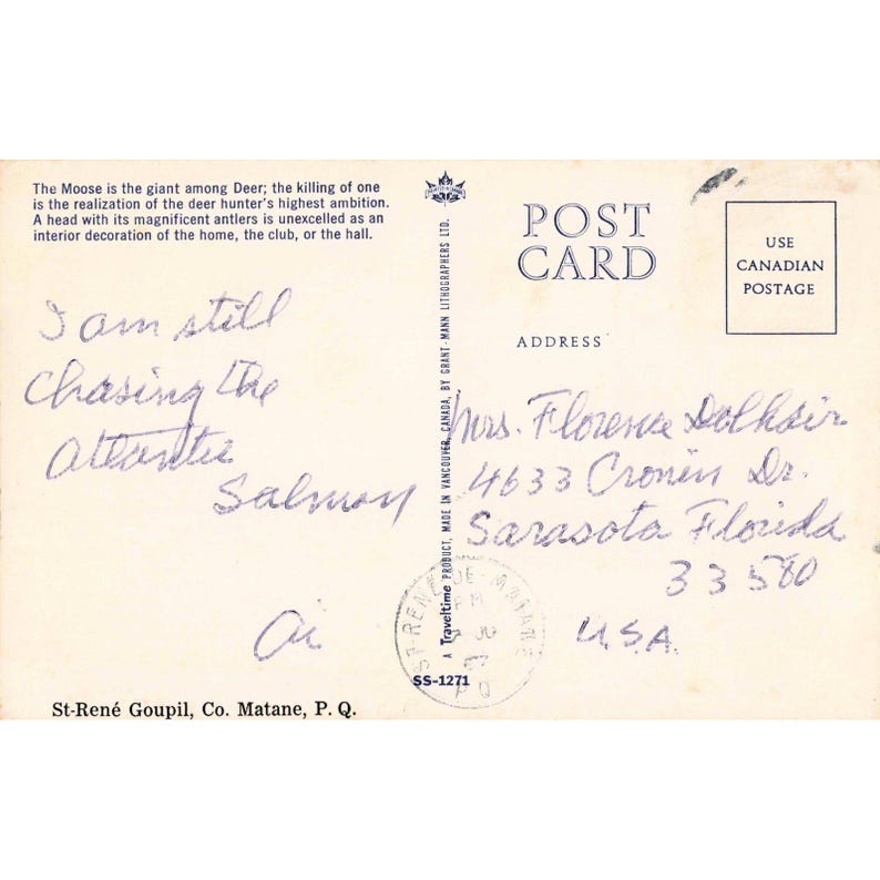 Carte postale ancienne représentant un orignal, Saint-René Goupil, Québec, Canada, SS-1271, cachet postal de 1970 image 2