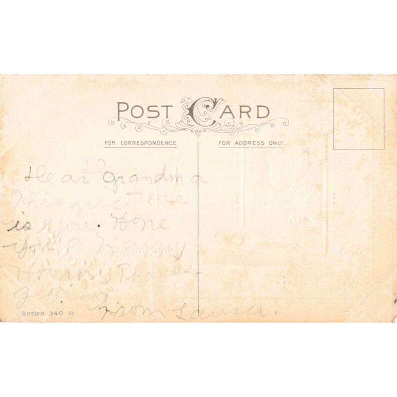 Vintage Thanksgiving Postcard Embossed Series 340 B Turkey Dinner Grandmother VG image 2