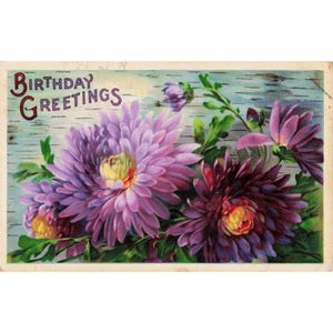 Vtg 1911 Birthday Greetings Postcard Purple Chrysanthemums Germany Serie 5500 image 1