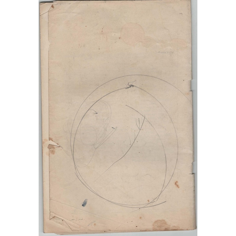 Boletín agrícola del USDA n.° 1673, edición de 1936, titulado "The Farm Garden". imagen 2