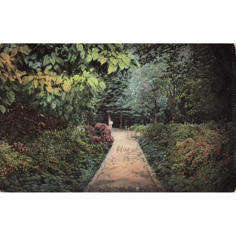 Vintage 1908 Portland Oregon City Park Flower Walk Postcard M Rieder 9194 VG- image 1