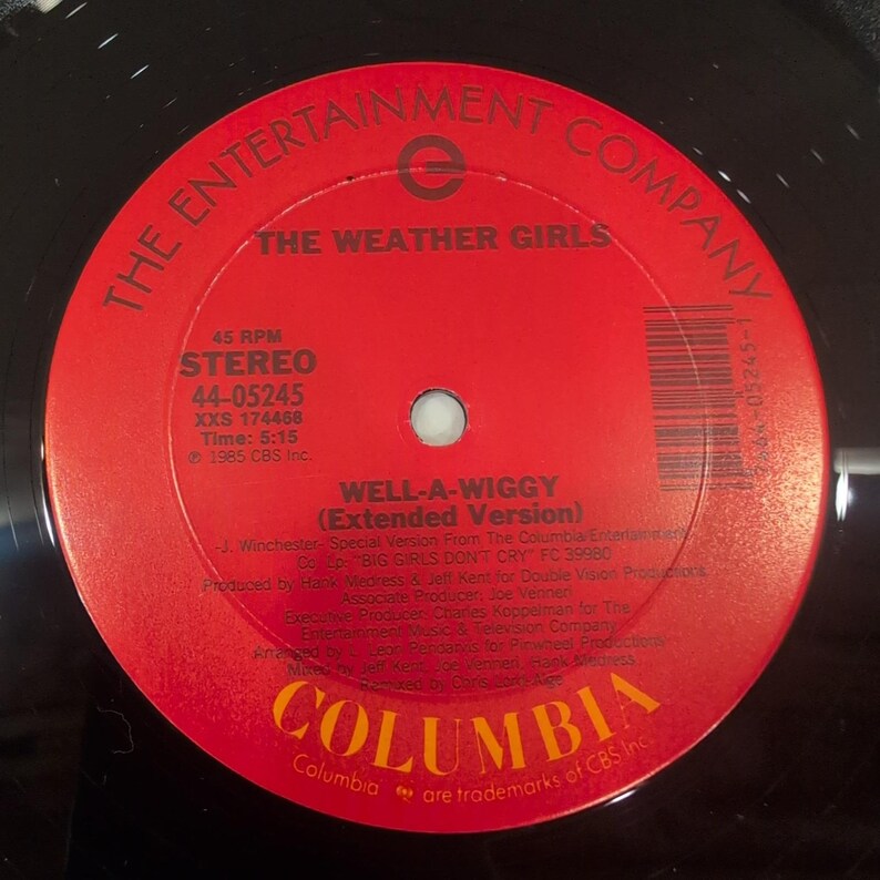 The Weather Girls Well-A-Wiggy 12" Vinyl Singel 45 RPM Columbia 44-05245 1985 bild 4