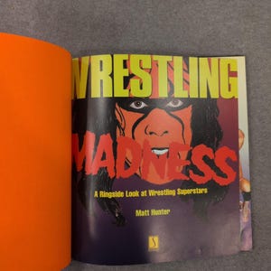Wrestling Madness Matt Hunter Book 8 Signatures Autographed Sting Dustin Rhodes image 2