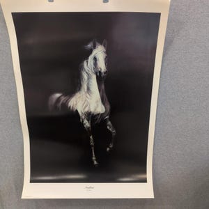 Sonia Torres Limited Edition, Numbered, Signed Arabian Left Horse Artist's Print image 1