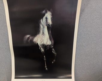 Sonia Torres Limited Edition, Numbered, Signed Arabian Left Horse Artist's Print